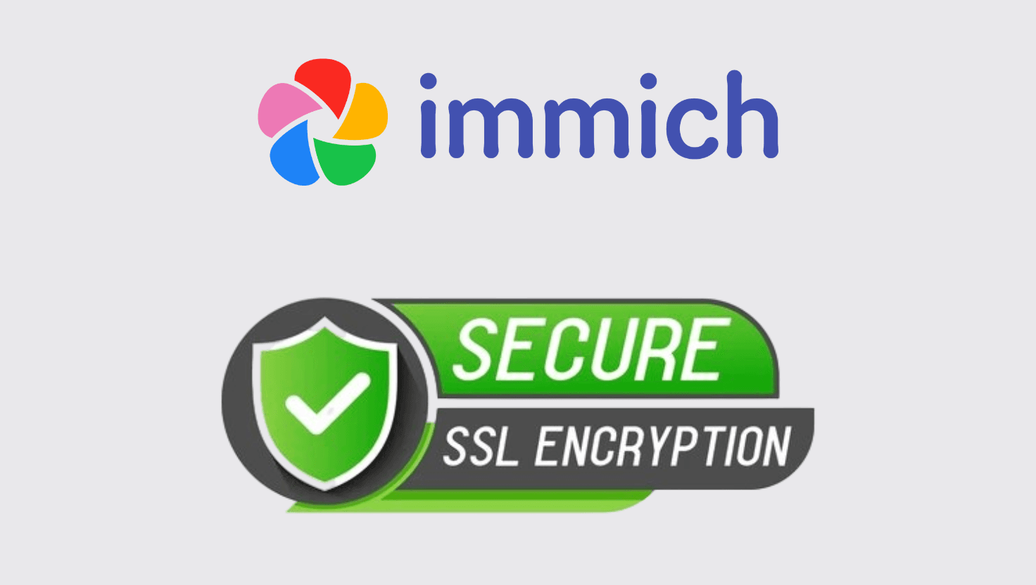 Immich Server Custom Domain with SSL